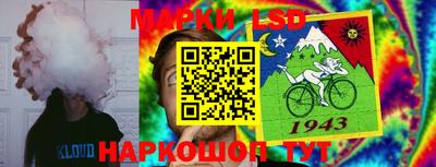 ПСИЛОЦИБИНОВЫЕ ГРИБЫ Ярцево