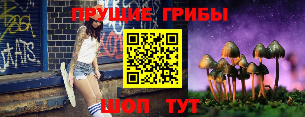 Псилоцибиновые грибы мухоморы Зерноград