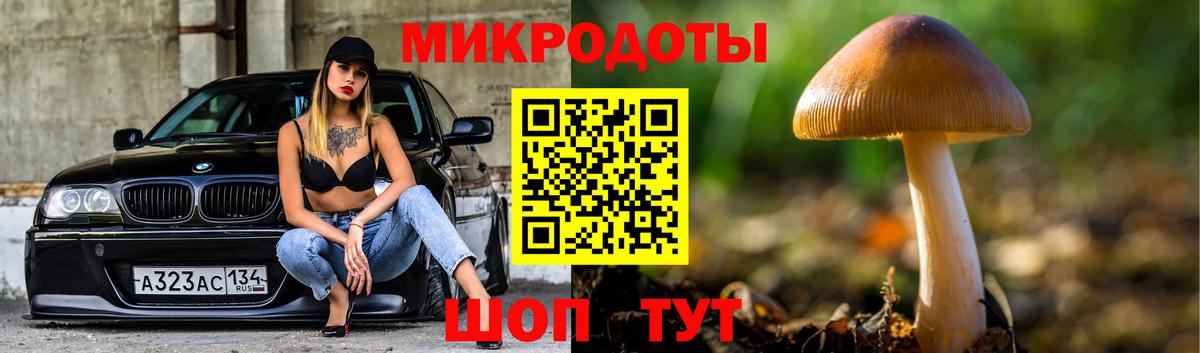 Псилоцибиновые грибы MAGIC MUSHROOMS  Вход с VPN  Галлюциногенные грибы ЛСД  дарнет шоп  Зерноград 